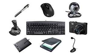 Trong máy vi tính thiết bị nào là thiết bị xuất?